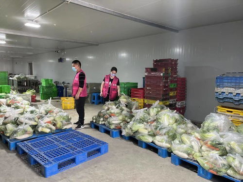 从十几元到五六十元,上海奉贤为封闭管理小区配送农产品套餐